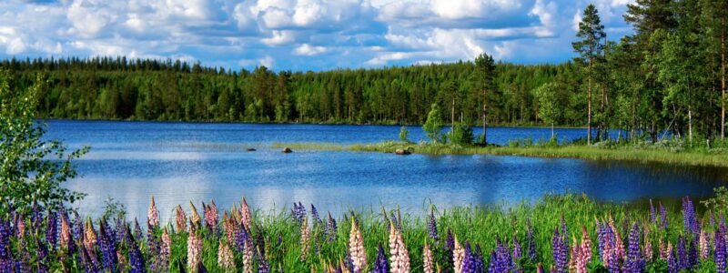 Landscape Photography
